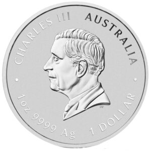 Сребърна монета Година на Змията 2025, 1 Oz